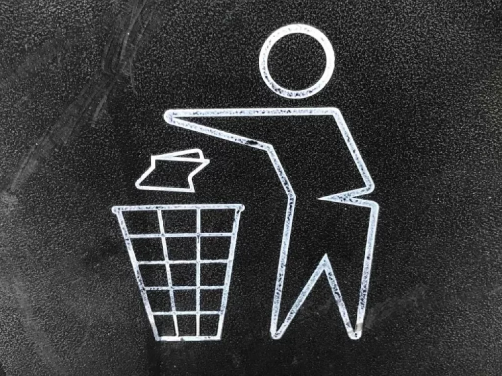 Programmes de Recyclage Gratuits 2 yzszn3qvheo 1024x768 1