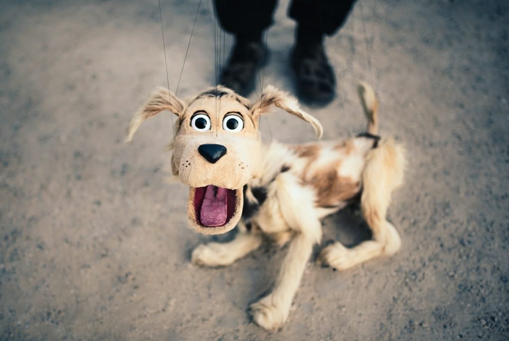 Le forfait mobile French Days de rentrée - YouPrice 2 dog toy