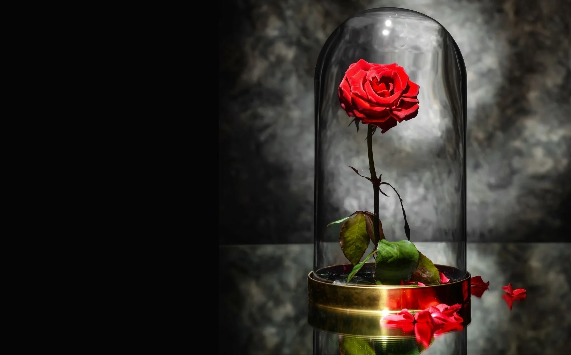 Rose éternelle - Les meilleures ventes 1 Rose eternelle