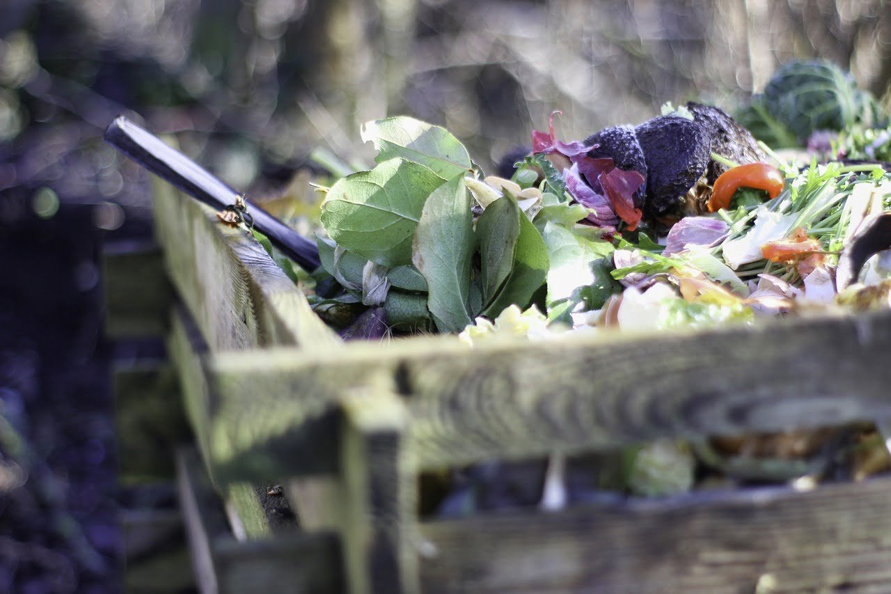 Les copropriétés seront concernées par le compostage des biodéchets en 2024 1 garden, compost, nature